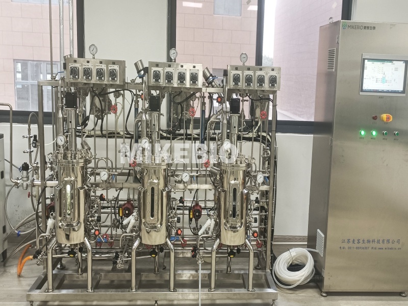 thriple connected stainless steel fermenter.jpg
