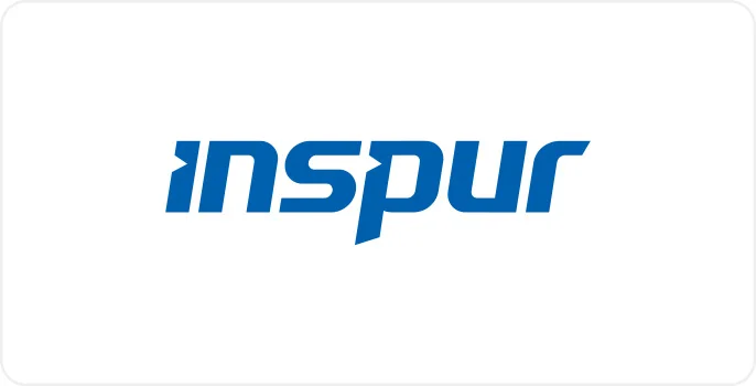 inspur