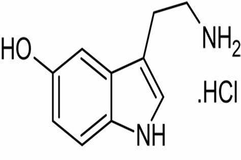 5-HT