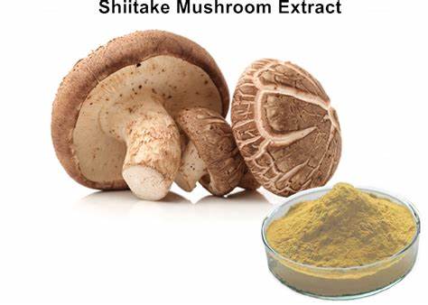 Mashroom Extract