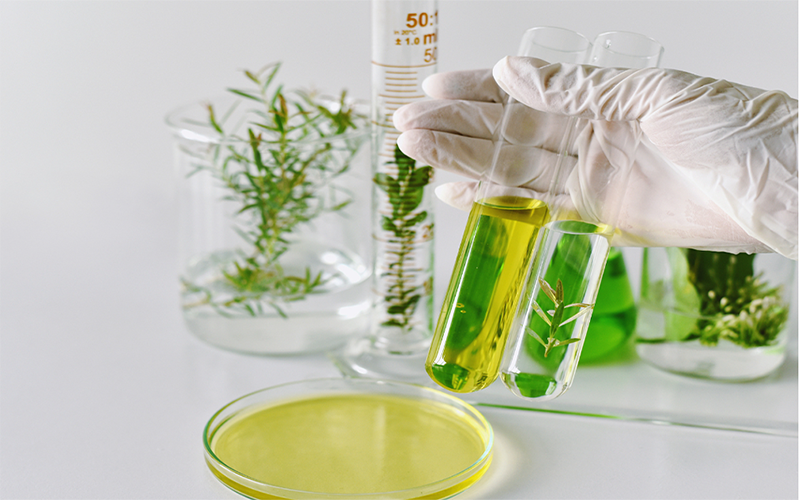 olio vegetale