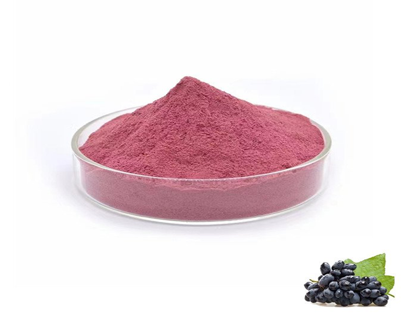 Black currant Extract1