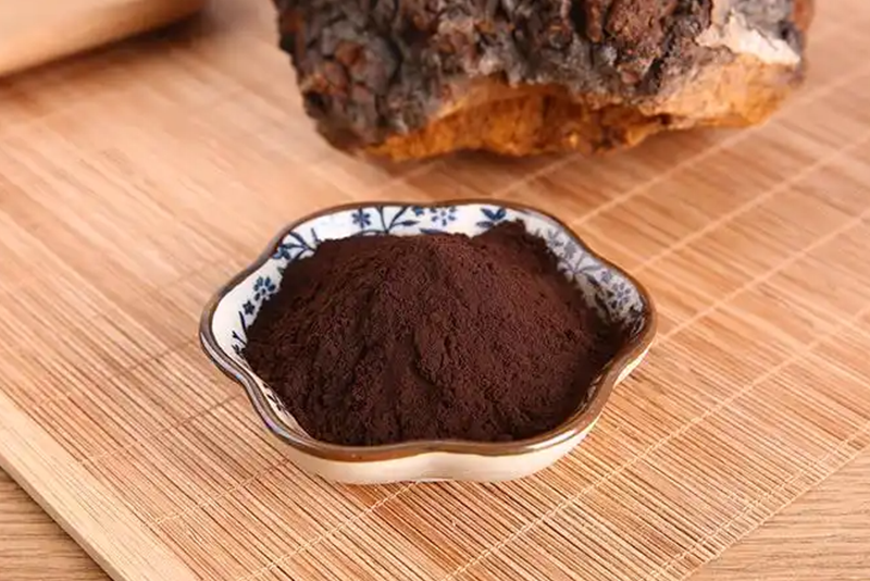 Chaga mushroom Extract: A Bright New Star in the Health Industry