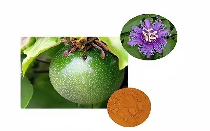 Passion flower Extract 1副本