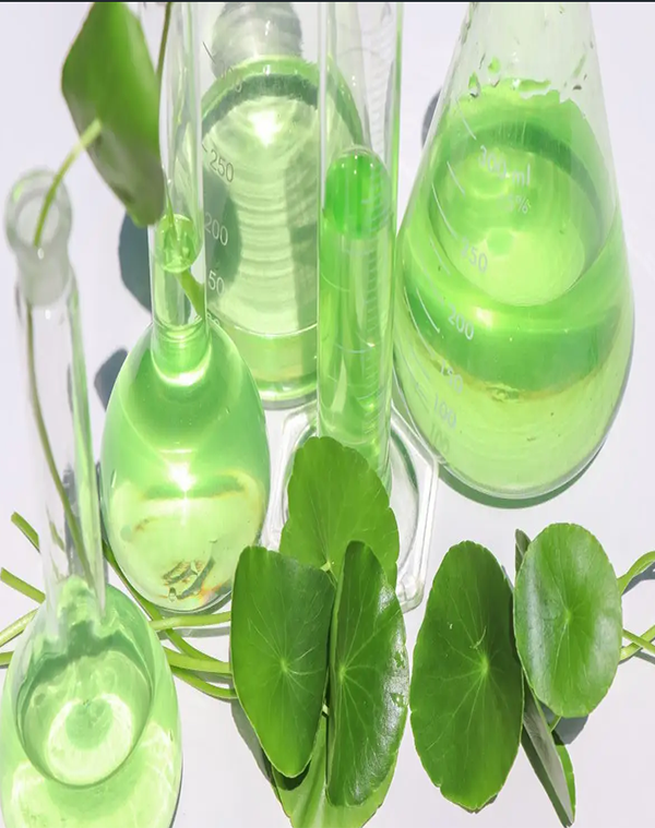 Plant Extracts 2