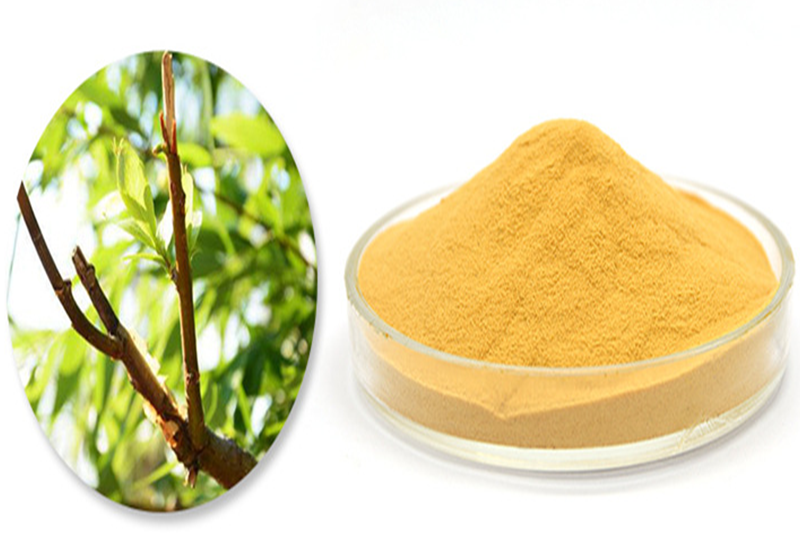 White willow bark Extract: Phytotechnology Enables a New Dimension of Pain Management