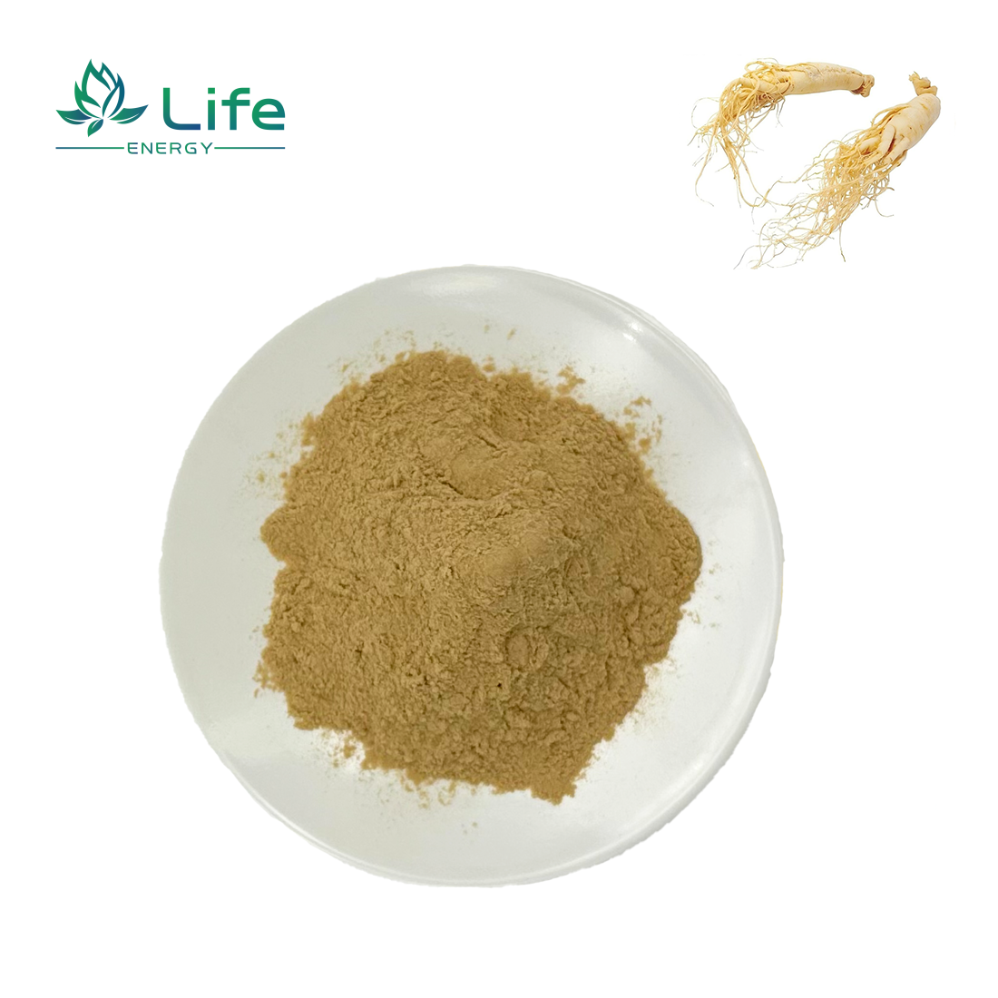 American ginseng root Extract/Total Noto Ginsenoside/Saponin