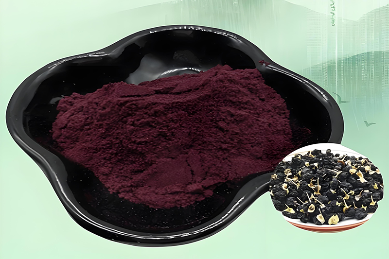 Black wolfberry Powder 2