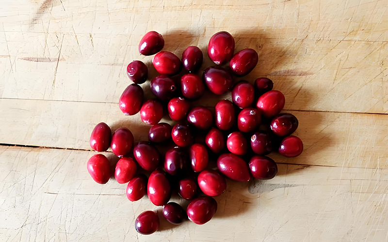 Cranberry Extract 3
