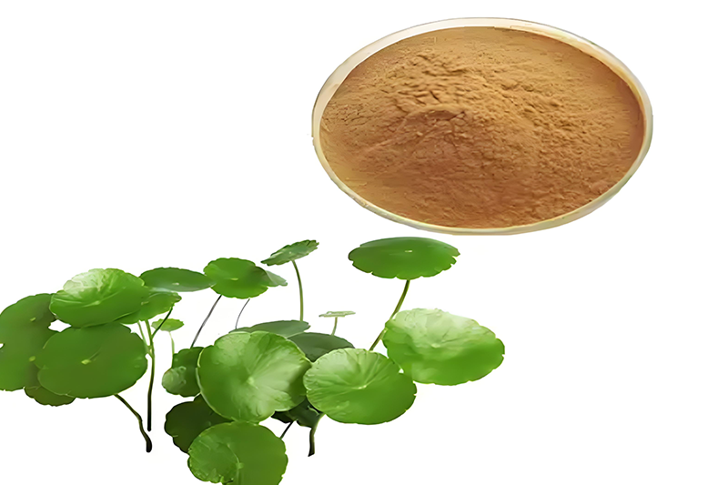 Centella asiatica Extract 3