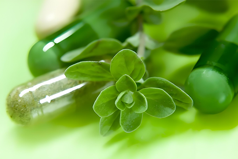Extrato vegetal: uma ligação verde entre saúde e proteção ambiental.