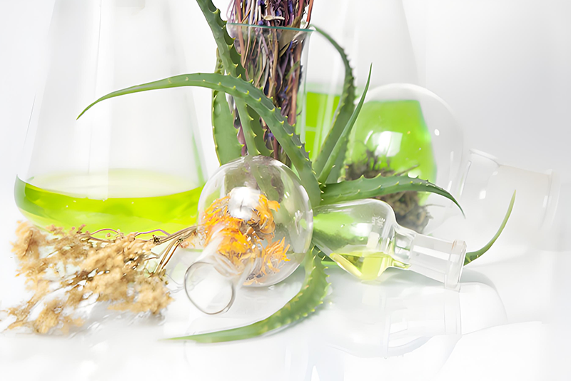Natural Power Empowers the Future: Innovative Revolution of Plant Extracts in the Food Supplement Industry