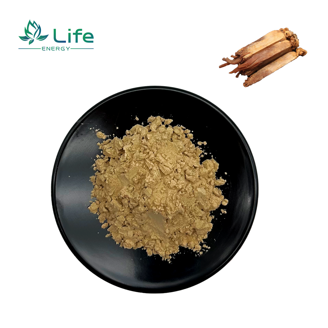 Korean ginseng Extract/Total Noto Ginsenoside/Saponin