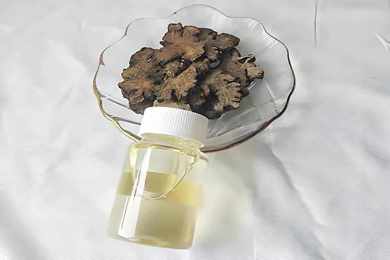 Ligusticum Extract 3