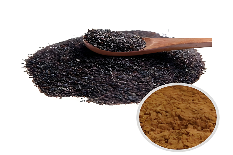 Plantain Extract 2