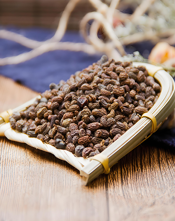 Ligustri lucidi fructus Extract 3