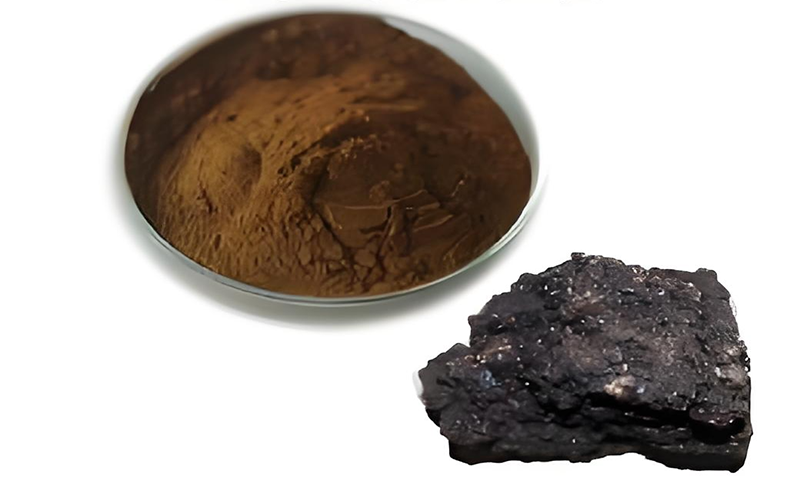 Shilajit Extract 2