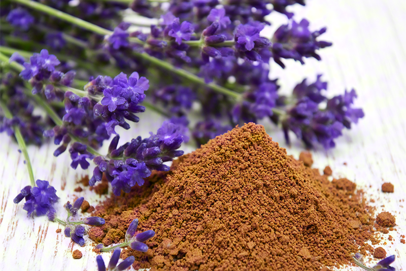 Thyme leaf Extract：The "Versatile Expert" in the Plant Kingdom