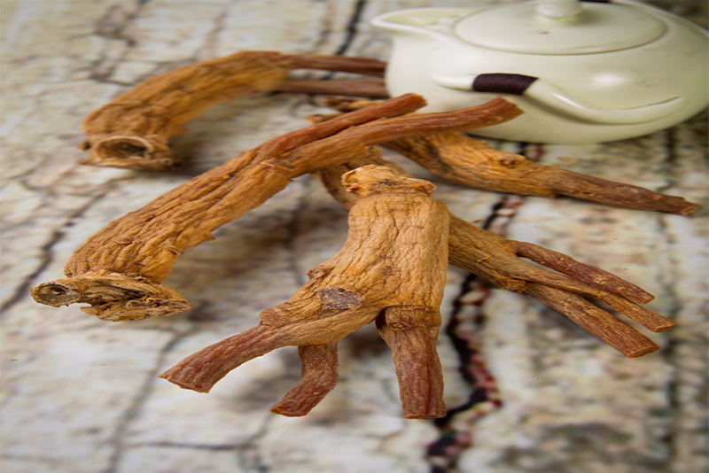 Korean ginseng Extract - Ginseng Source Revitalizer
