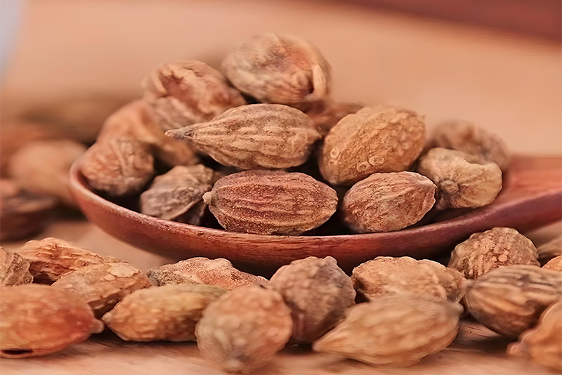Alpiniae oxyphyllae fructus Extract: Opening in a New Era of Brain Health