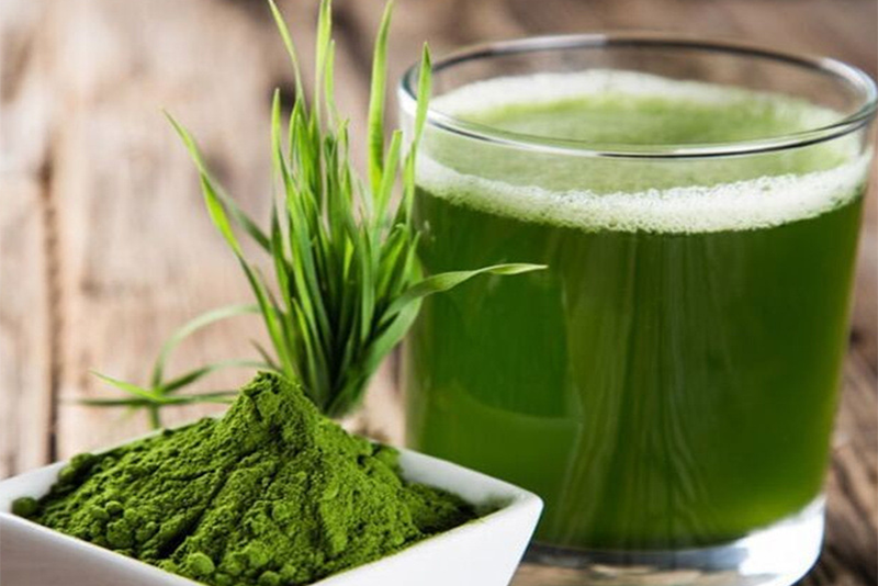 Barley grass juice Powder3