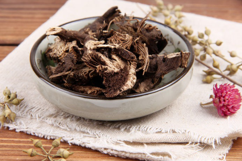Cimicifugae rhizoma Extract - Asclepias Essence