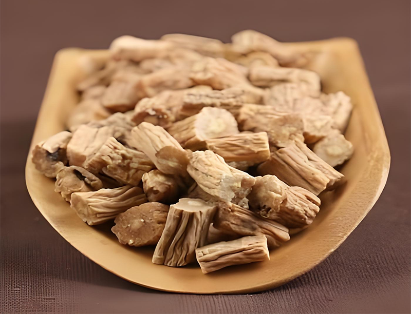 Codonopsis radix Extract 1