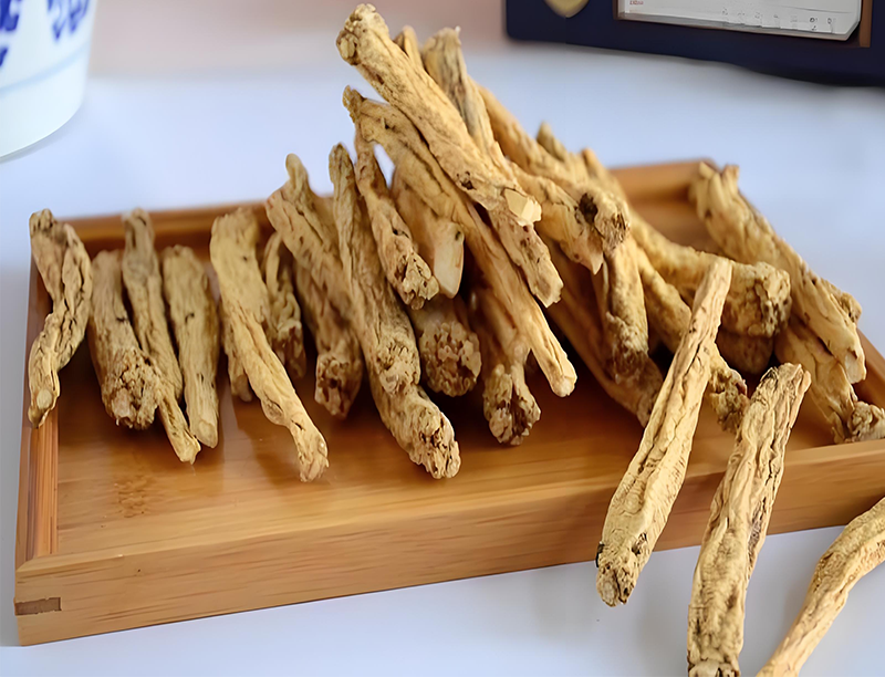 Codonopsis radix Extract 3