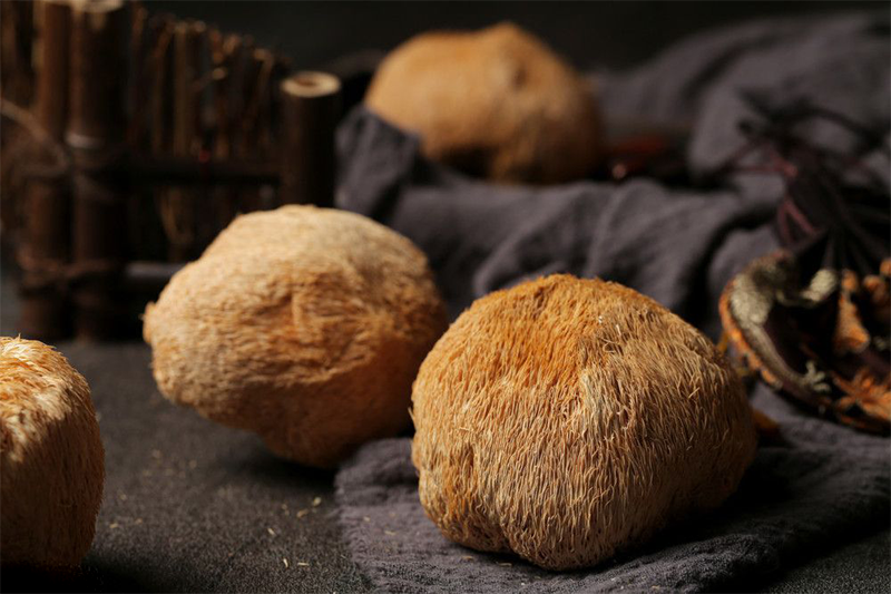 Hericium erinaceus2