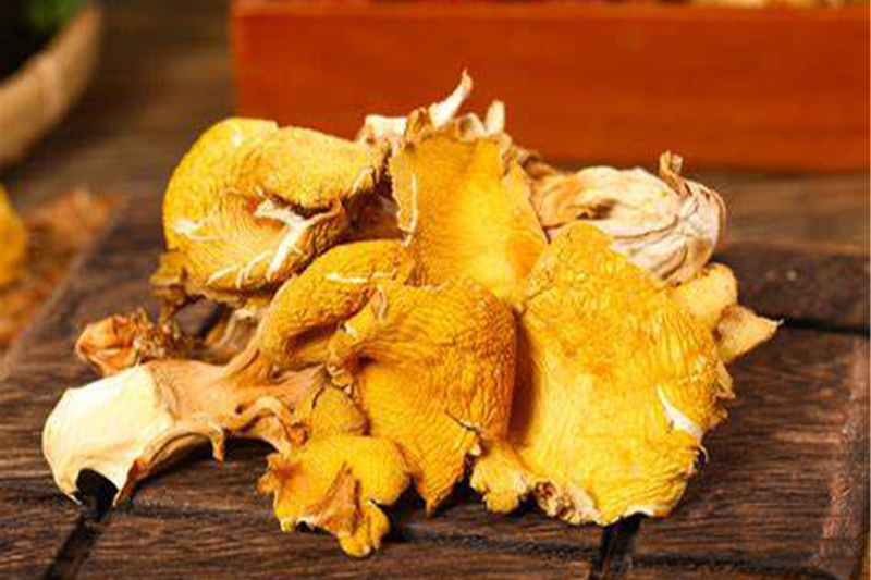 Pleurotus Eryngii Extract 2-1