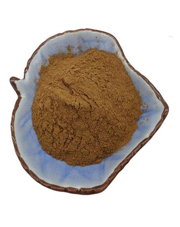 Pleurotus Eryngii Extract 2-2