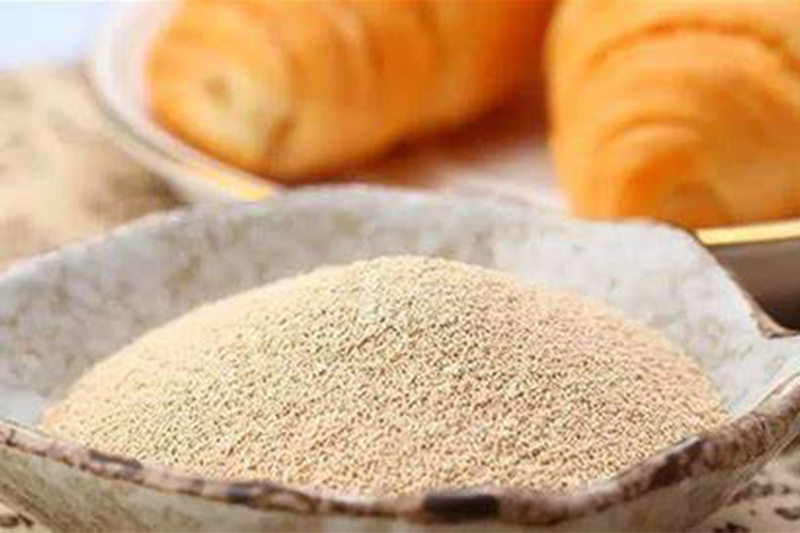 Yeast Extract3