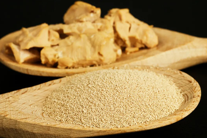 Yeast Extract4