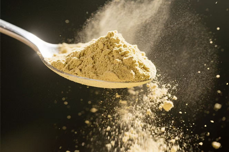 Barberry Extract 2-1