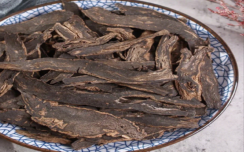 Figwort Extract 3