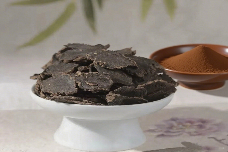 Figwort Extract: The Modern Technological Revolution of the Millennium Cold Blood Holy Product
