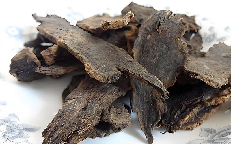 Figwort Extract1