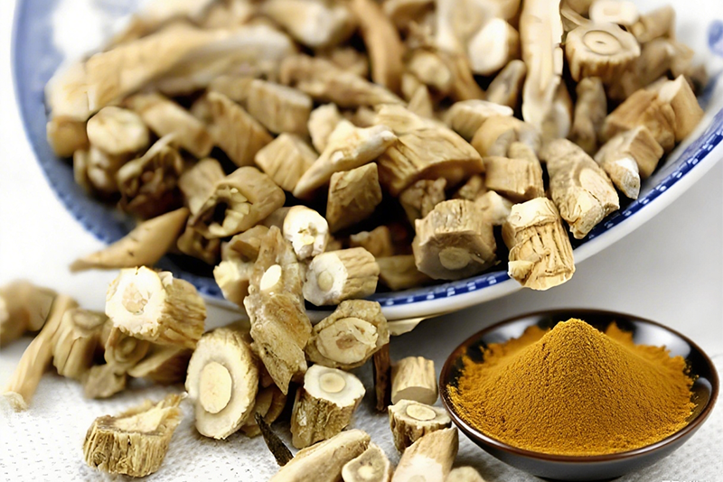 Isatis indigotica fort Extract: A Leap from Traditional Herbs to Modern Bioactives
