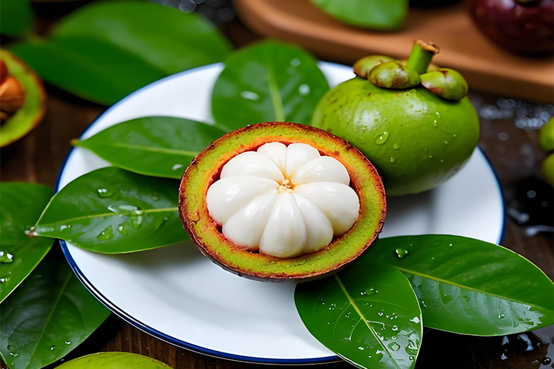 Mangosteen Extract 1
