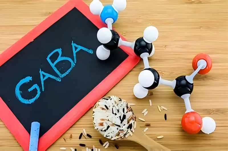GABA 1