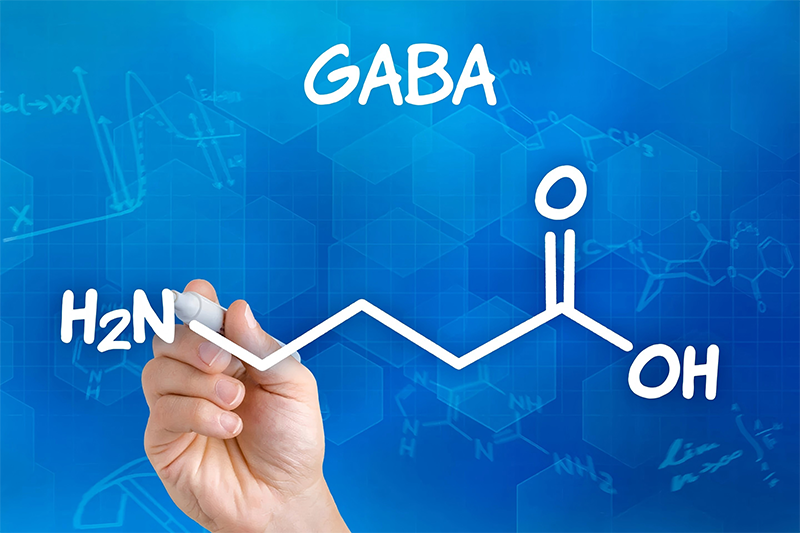GABA 3