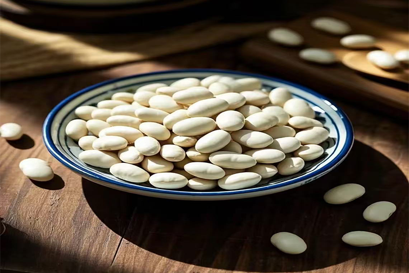 White kidney bean Extract
