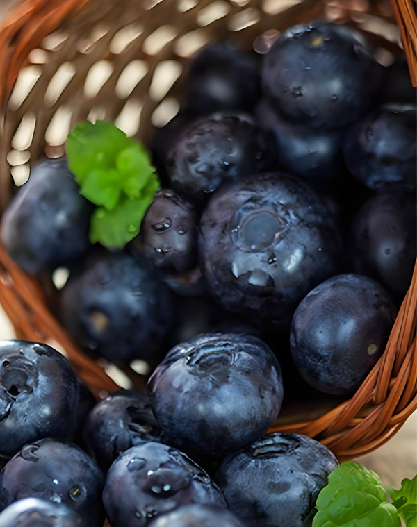 Bilberry Powder 2
