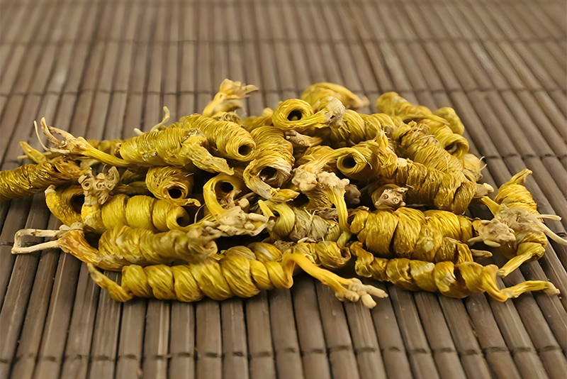 Dendrobii officinalis caulis Extract - the gold in plants, the code of human health