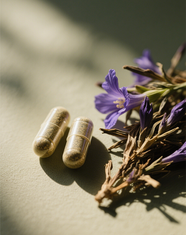 Gentian Extract 2-2