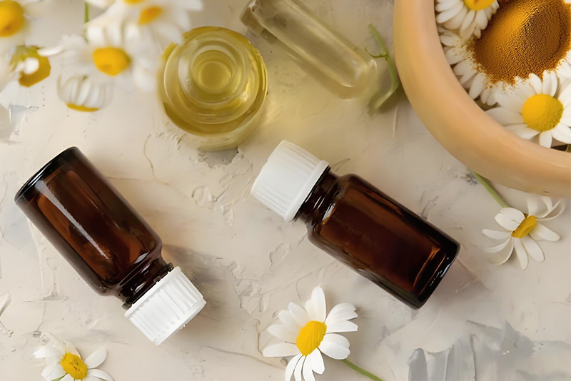 Plant Extracts: Natural Active Ingredients Reshaping the Pharmaceutical R&D Landscape