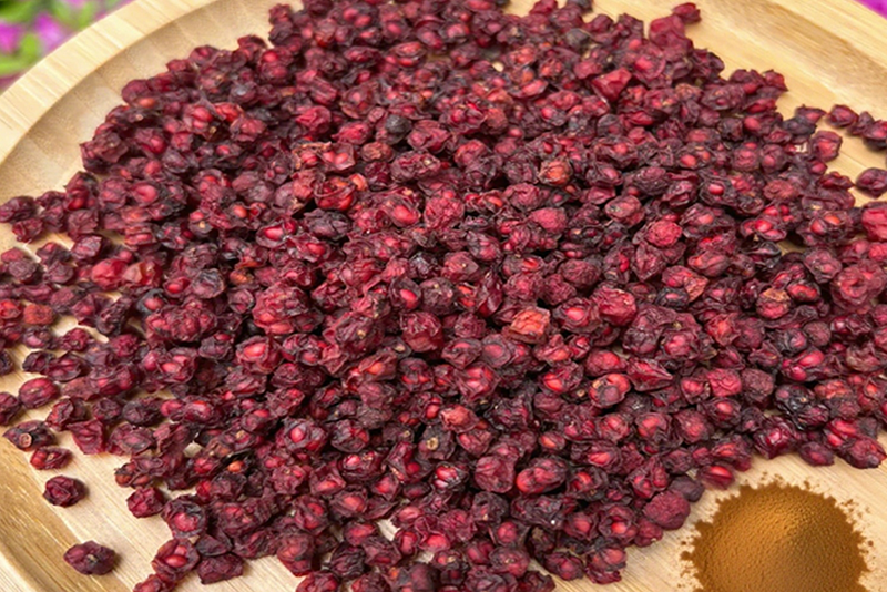 Schisandra chinensis Extract: The Healthy Energy Bank of Natural Berries