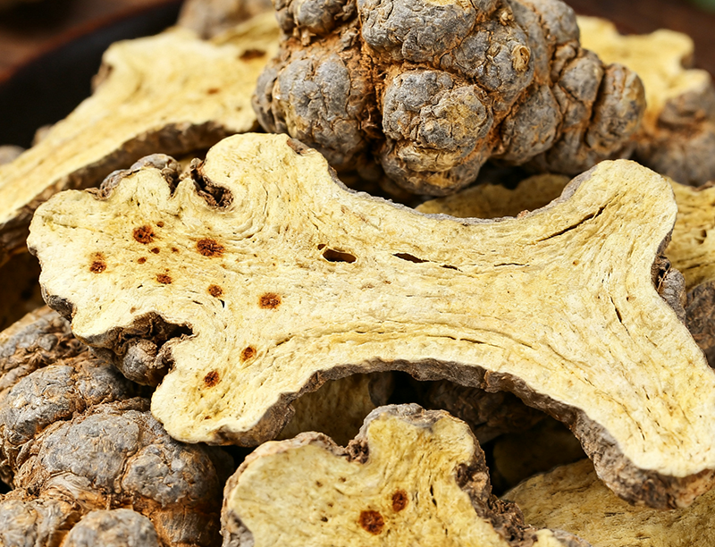 Atractylodes macrocephala Extract 1