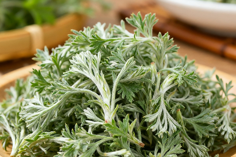 Capillary wormwood Extract 1