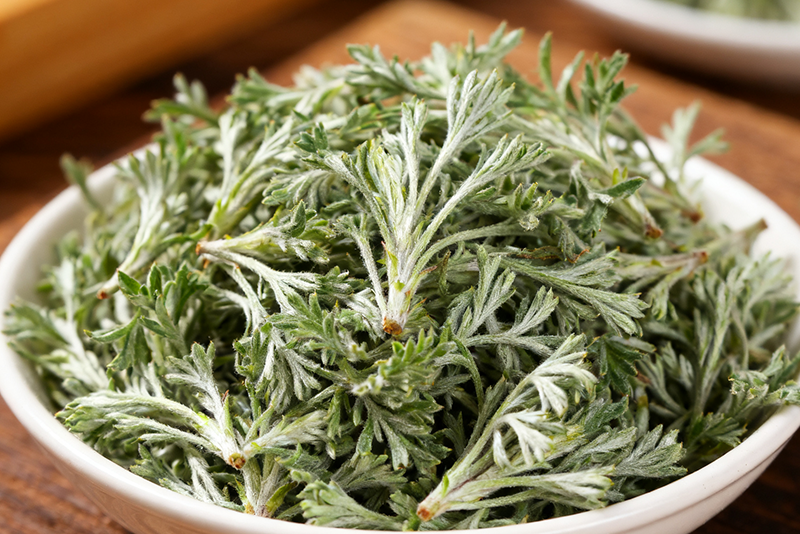 Capillary wormwood Extract  3